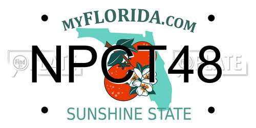 NPCT48 Florida License Plate