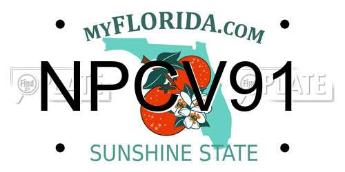 NPCV91 Florida License Plate