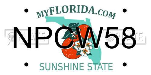 NPCW58 Florida License Plate