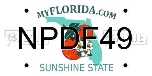 NPDF49 Florida License Plate