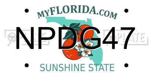 NPDG47 Florida License Plate