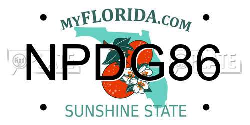 NPDG86 Florida License Plate