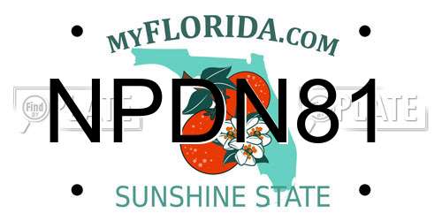 NPDN81 Florida License Plate