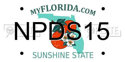 NPDS15 Florida License Plate
