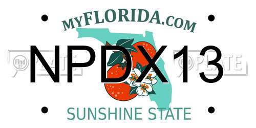 NPDX13 Florida License Plate