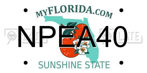 NPEA40 Florida License Plate