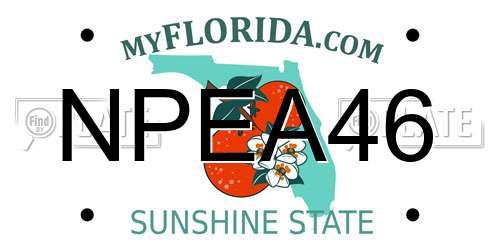 NPEA46 Florida License Plate