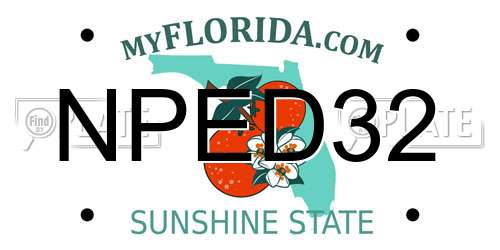NPED32 Florida License Plate