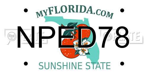 NPED78 Florida License Plate
