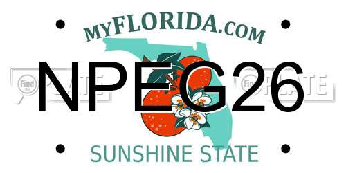 NPEG26 Florida License Plate