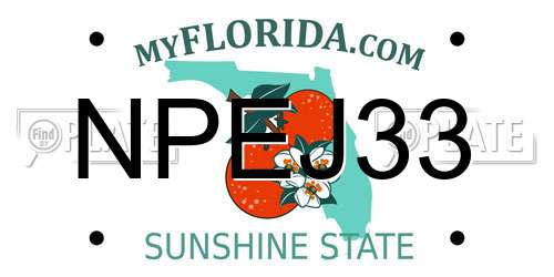 NPEJ33 Florida License Plate