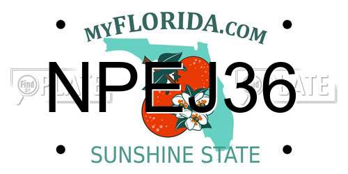 NPEJ36 Florida License Plate