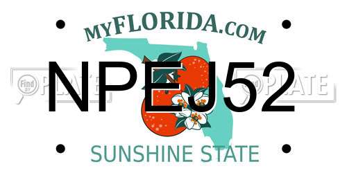 NPEJ52 Florida License Plate