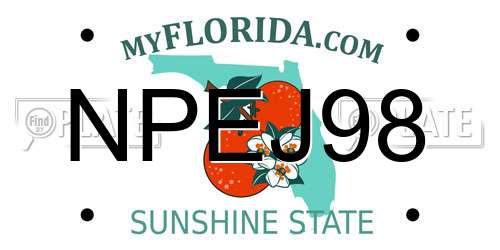 NPEJ98 Florida License Plate
