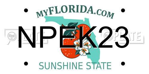 NPEK23 Florida License Plate
