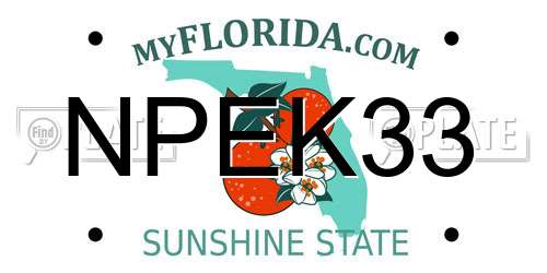 NPEK33 Florida License Plate