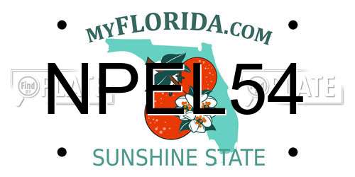 NPEL54 Florida License Plate