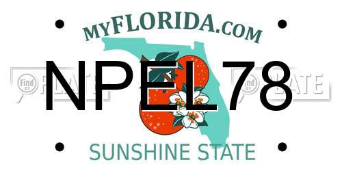 NPEL78 Florida License Plate