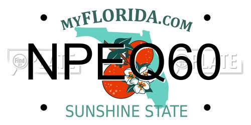 NPEQ60 Florida License Plate
