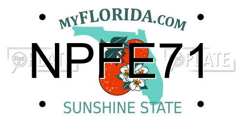 NPFE71 Florida License Plate