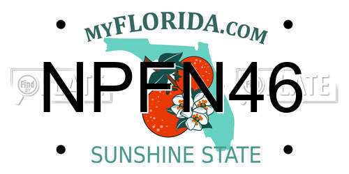 NPFN46 Florida License Plate