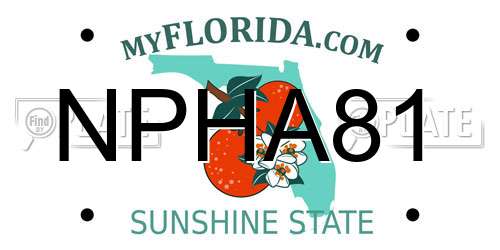 NPHA81 Florida License Plate