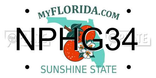 NPHG34 Florida License Plate