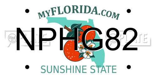 NPHG82 Florida License Plate
