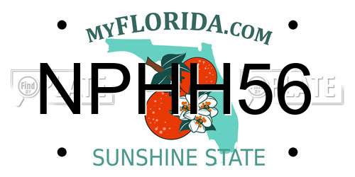 NPHH56 Florida License Plate