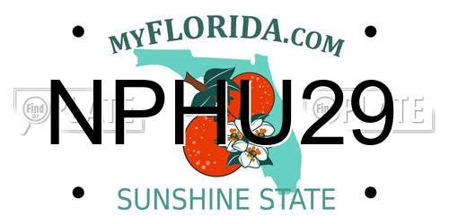 NPHU29 Florida License Plate
