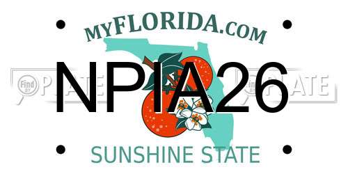 NPIA26 Florida License Plate