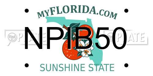 NPIB50 Florida License Plate