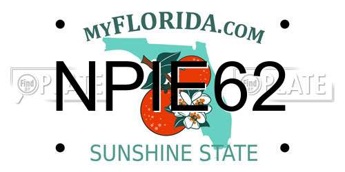 NPIE62 Florida License Plate