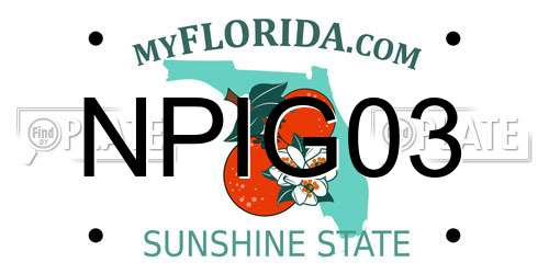 NPIG03 Florida License Plate