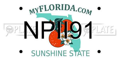 NPII91 Florida License Plate