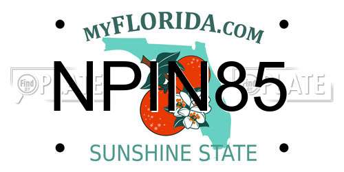 NPIN85 Florida License Plate