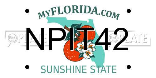 NPIT42 Florida License Plate
