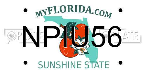 NPIU56 Florida License Plate