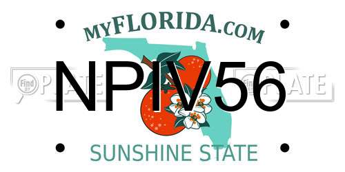 NPIV56 Florida License Plate