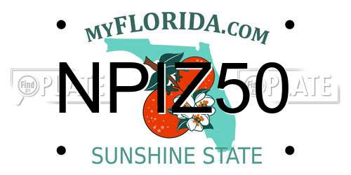NPIZ50 Florida License Plate