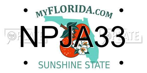NPJA33 Florida License Plate