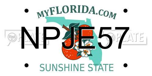 NPJE57 Florida License Plate