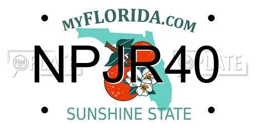 NPJR40 Florida License Plate