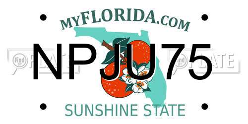 NPJU75 Florida License Plate