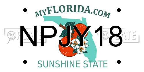 NPJY18 Florida License Plate