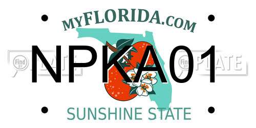 NPKA01 Florida License Plate