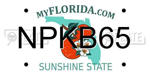 NPKB65 Florida License Plate