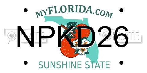 NPKD26 Florida License Plate