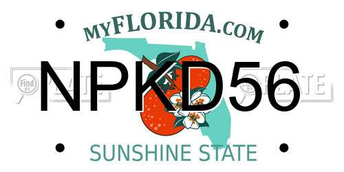 NPKD56 Florida License Plate