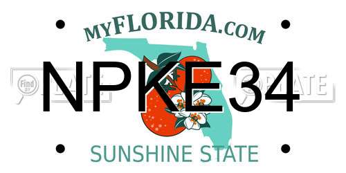 NPKE34 Florida License Plate